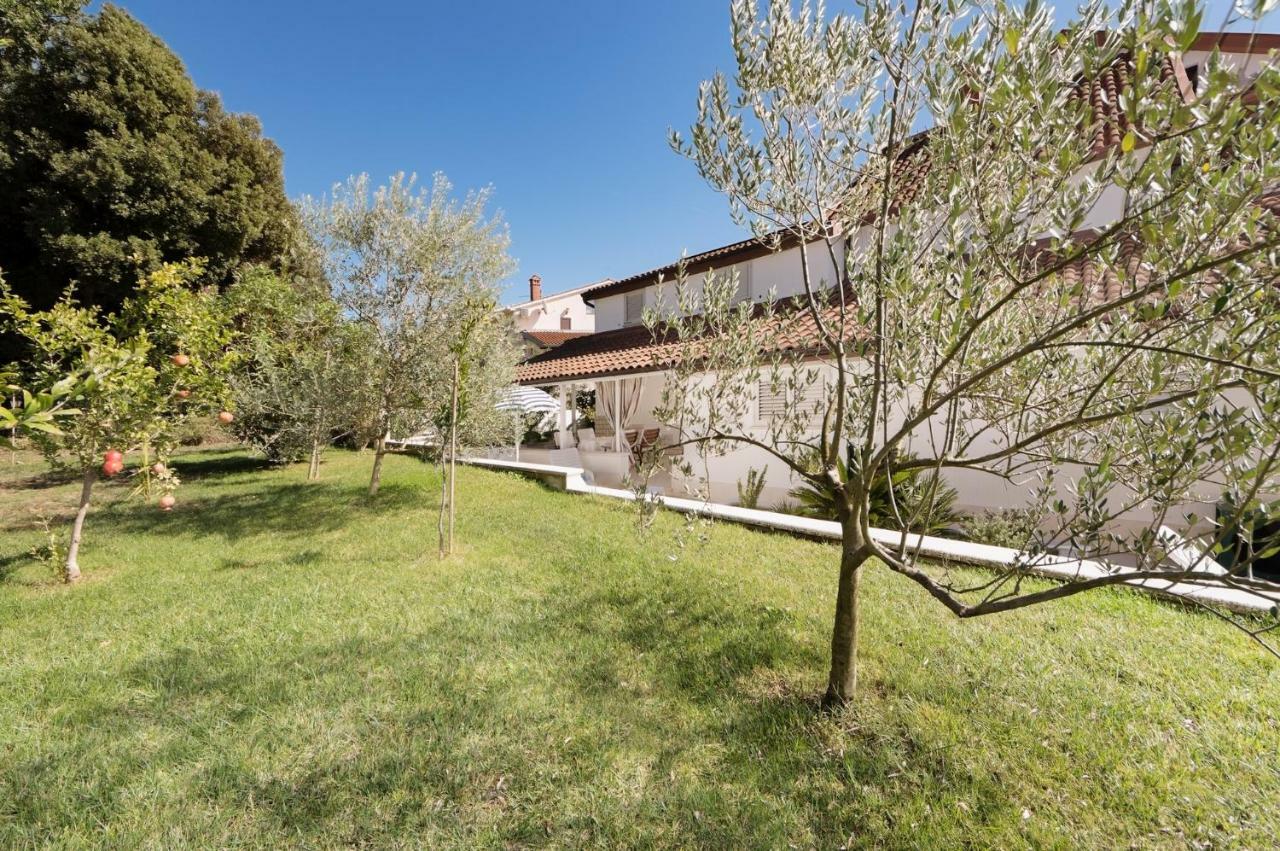 Apartman Rafaj *